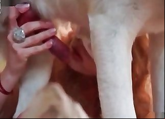 Bestial bride is celebrating